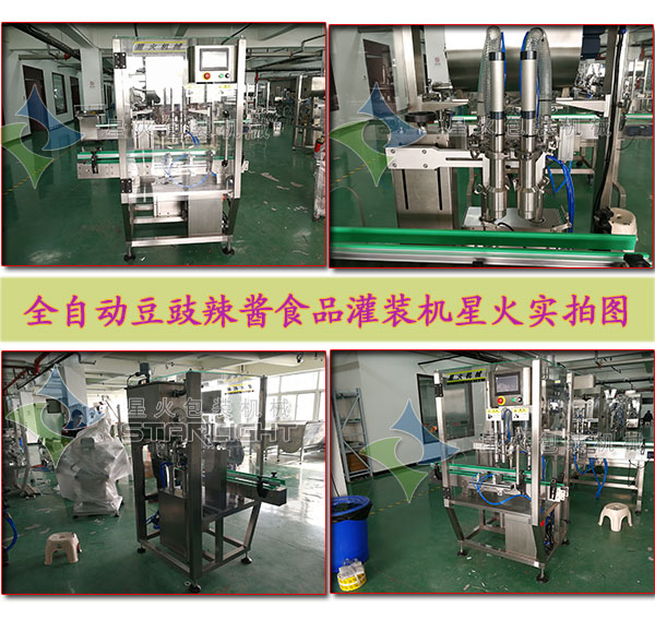 豆豉辣醬食品灌裝機(jī)