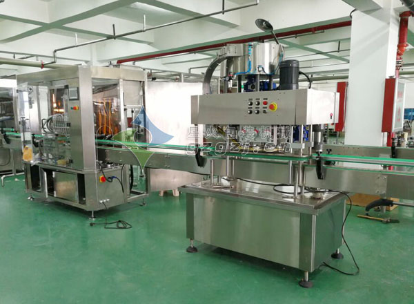 十二頭全自動(dòng)膏液灌裝生產(chǎn)線