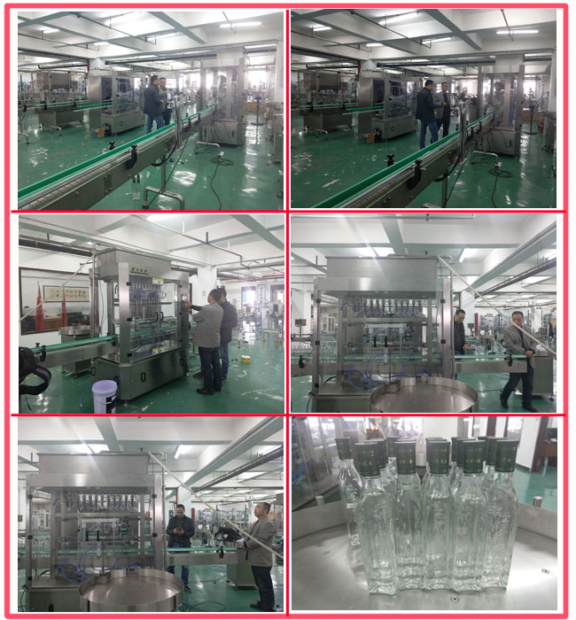 橄欖油灌裝生產線驗收